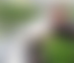 Jaunie agronomi stāda tomātus