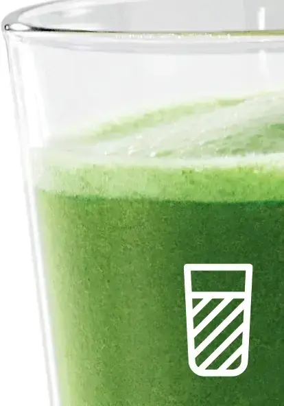 Bosch VitaExtract 150 Watt 2 Jars Slow Juicer