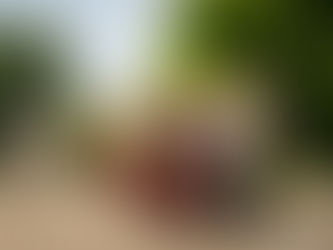 Viņi to pa īstam prot!