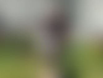 Uzvara konkursā "Krēsls 2024"