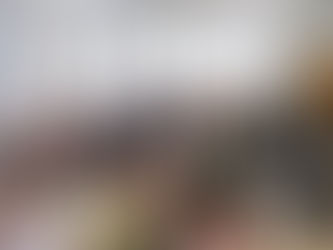 Gundegas Skudriņas vieslekcija