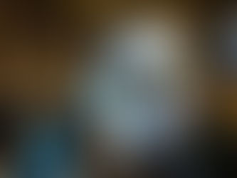 Partneru sanāksmē diskutē par pētījuma rezultātiem