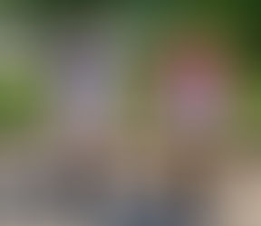 Zelts un sudrabs konkursā "Krēsls 2023"