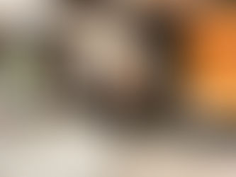 Izstādēs un muzejā