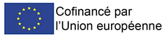 Emblème UE_Print_Jaune et Bleu avec Contour Blanc et Mentions_Cofinancé Noir.png