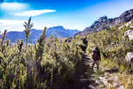 Itatiaia