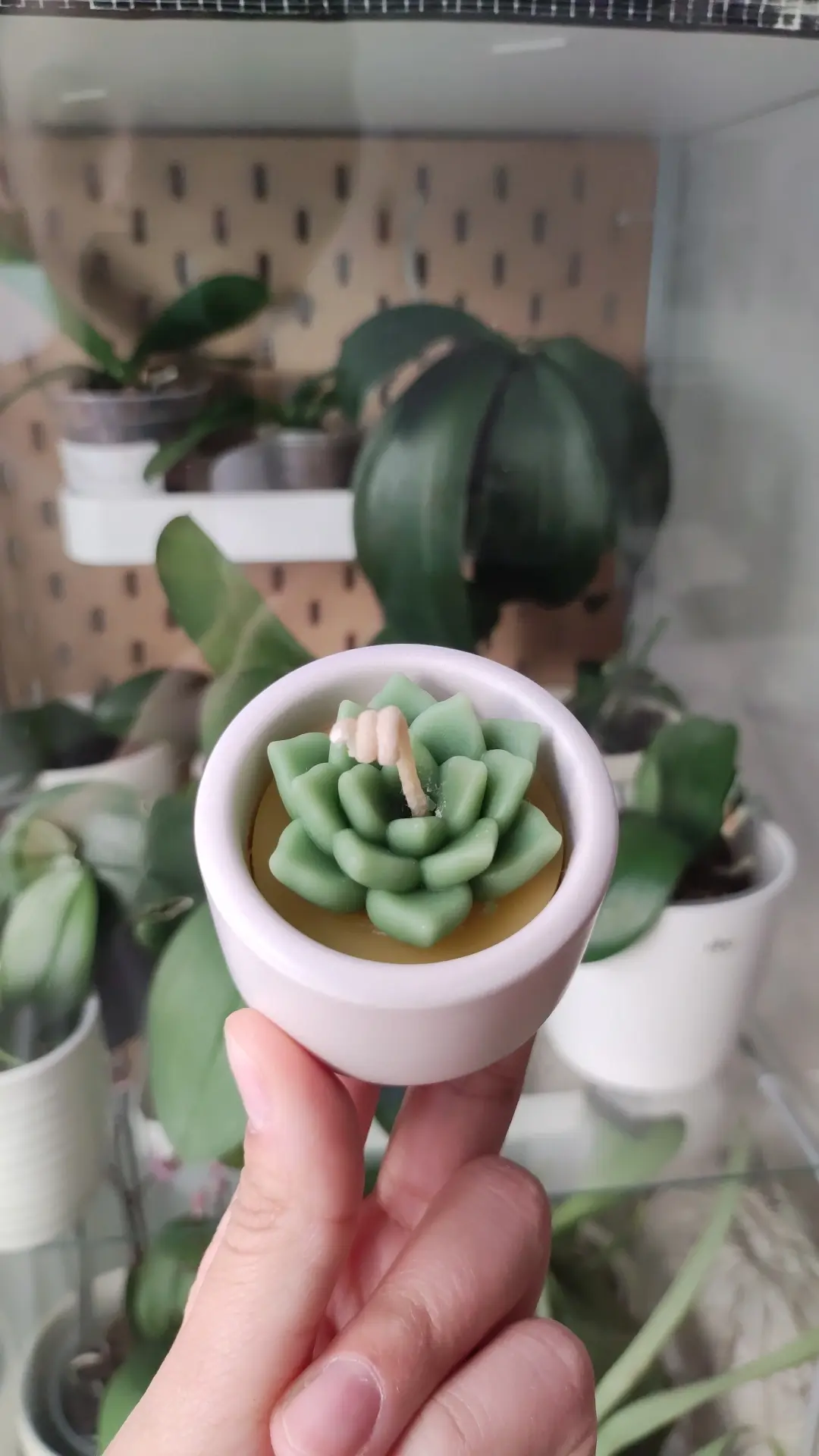  Decorative Small Succulent Candle