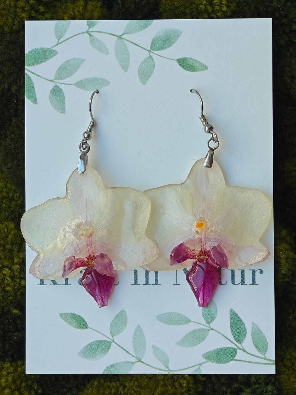 Miniatura: Bicolor  Phalaeopnosis Orchid Earrings 