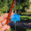 Thumbnail: Blue Phalaeopnosis Orchid Hair Stick