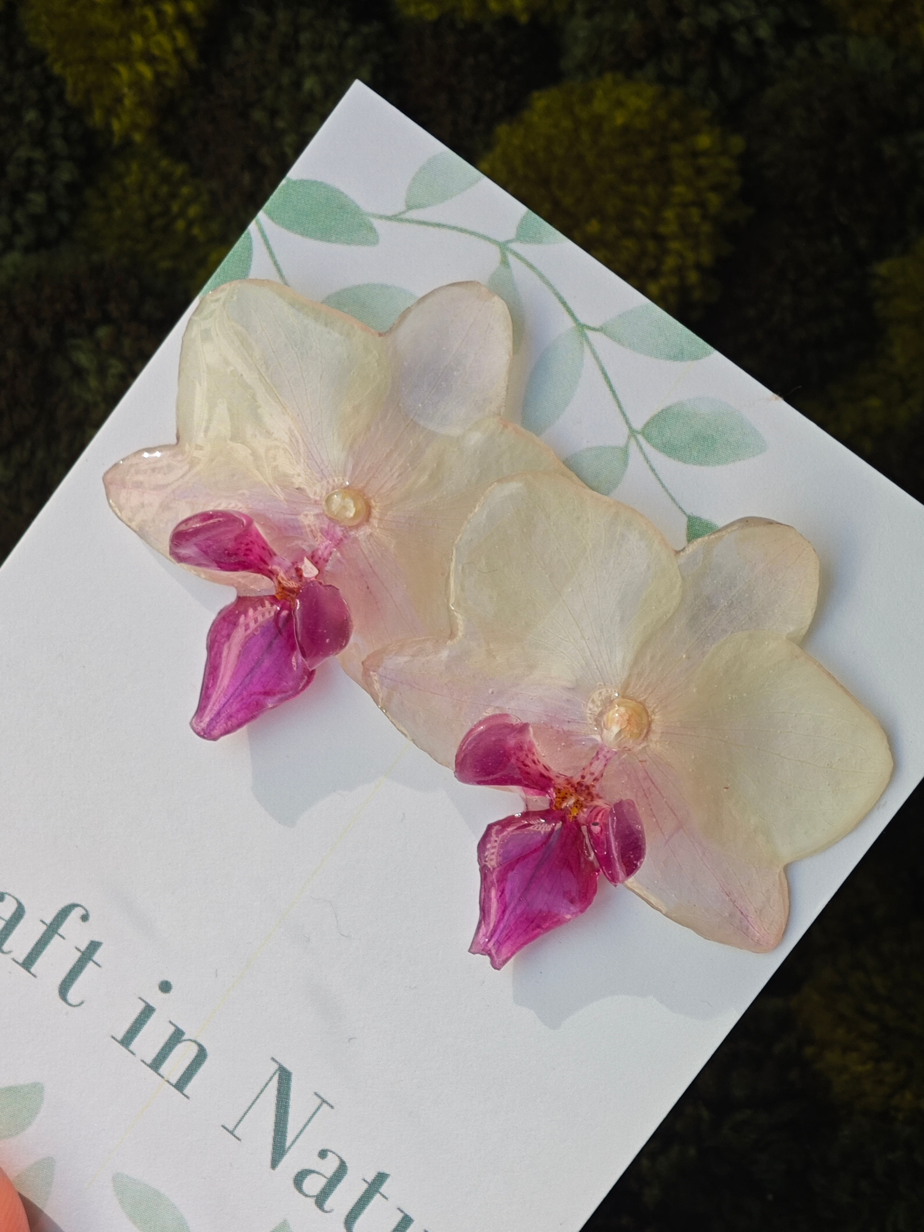 Bicolor Phalaeopnosis Orchid Earrings