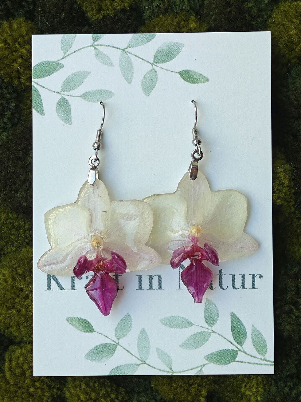 Thumbnail: Bicolor  Phalaeopnosis Orchid Earrings 