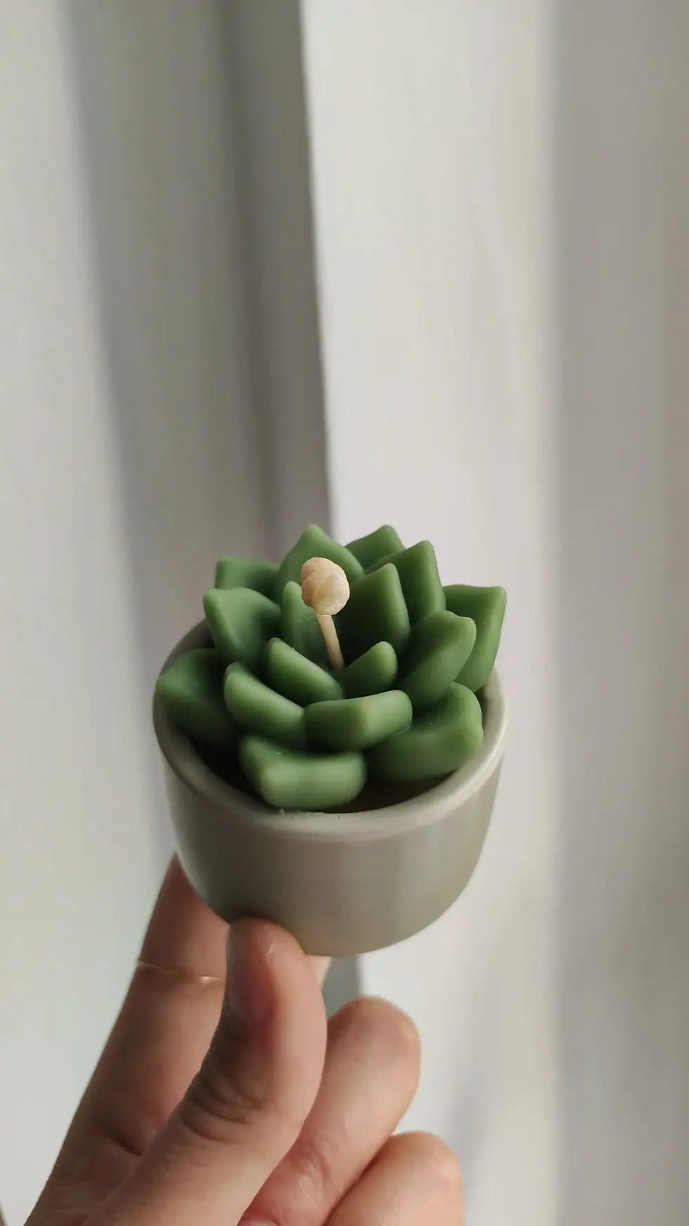 Miniaturbild:  Decorative Small Succulent Candle