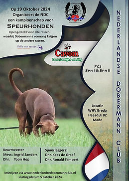 flyer speurwedstrijd 2024 resized.jpg