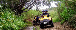 bannerQuads-990x400