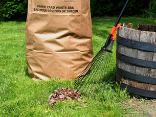 How to Manage Yard Waste Removal More Efficiently