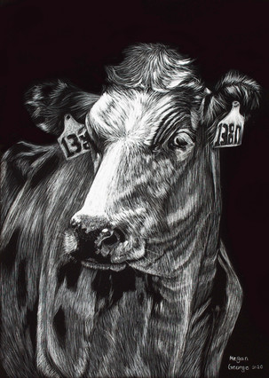 'Barbie II'