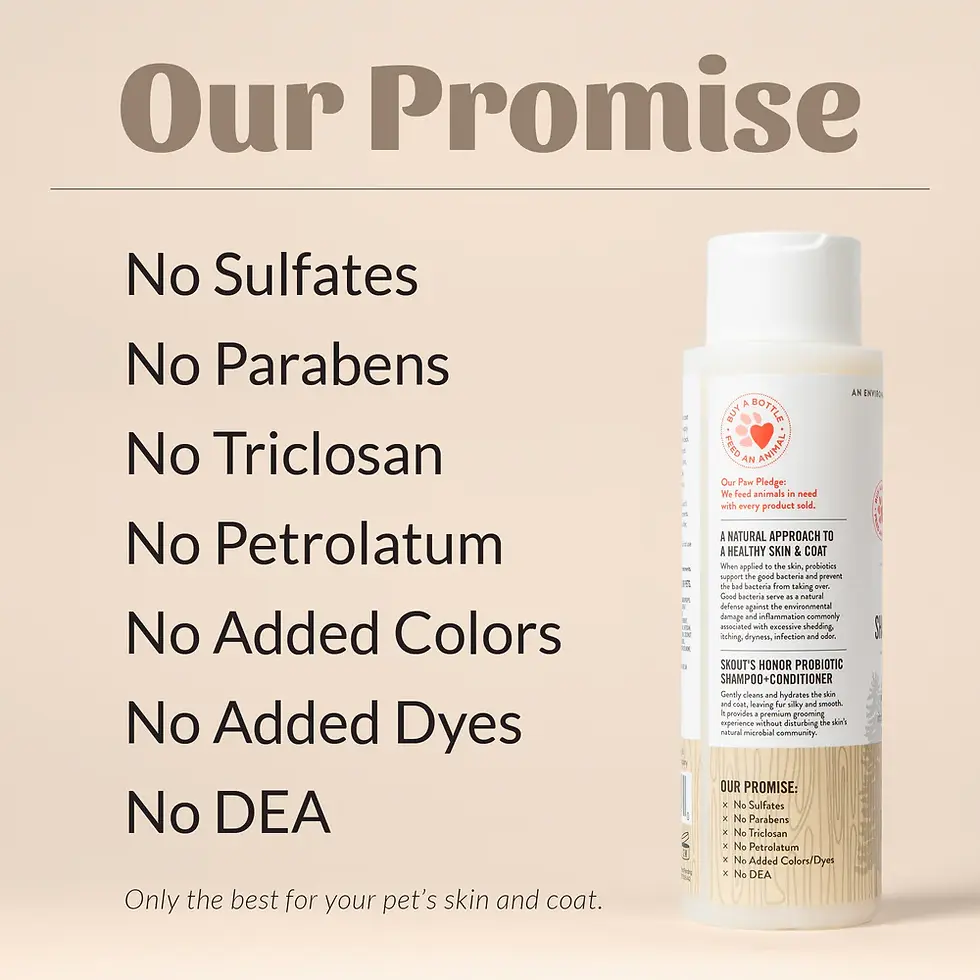 Thumbnail: Skouts Honor Probiotic   Shampoo+Conditioner- Dog of the Woods