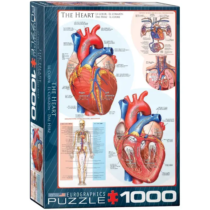 The Heart 1000pc