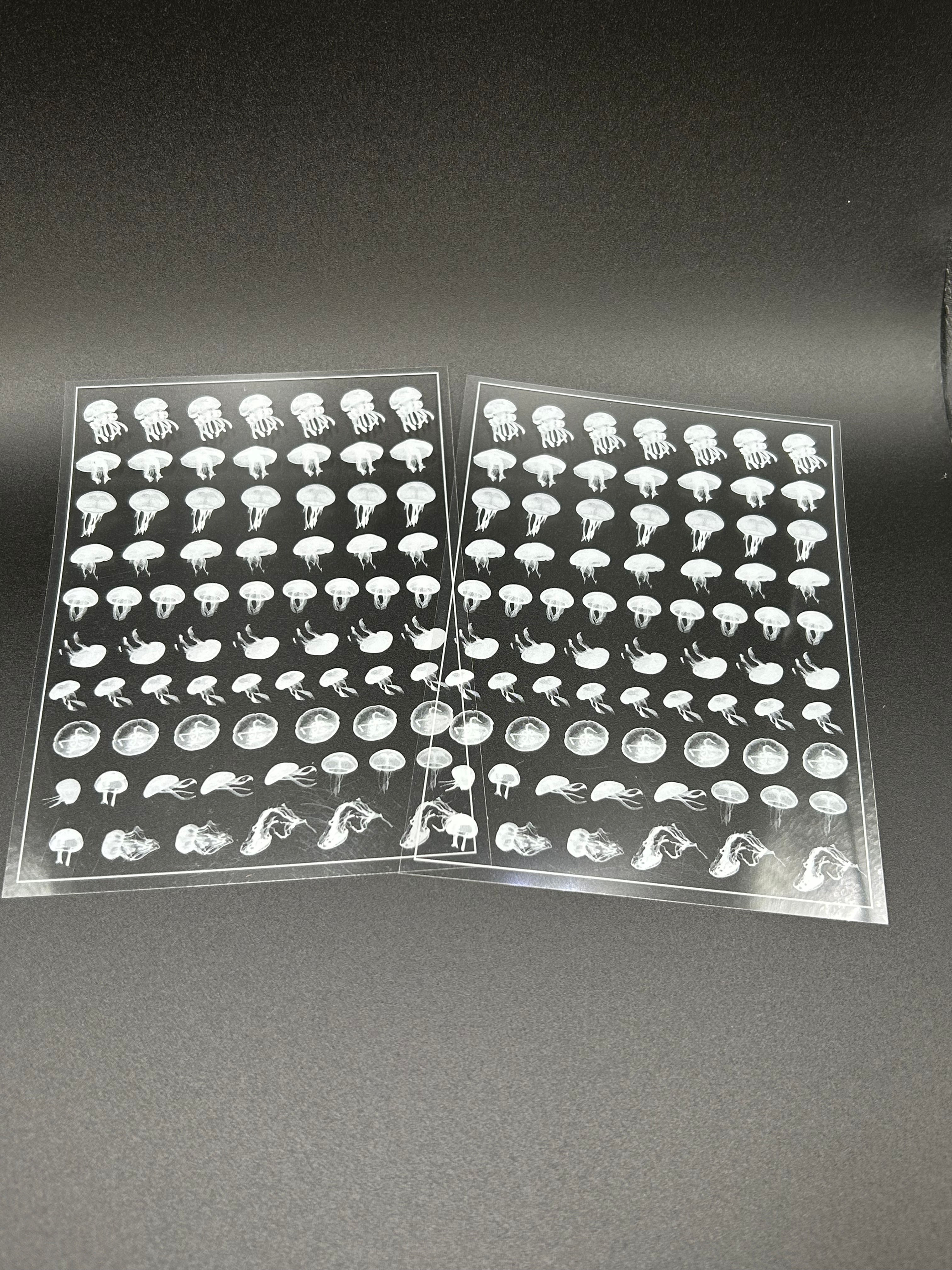 Jellyfish on Transparent Film 2sheets