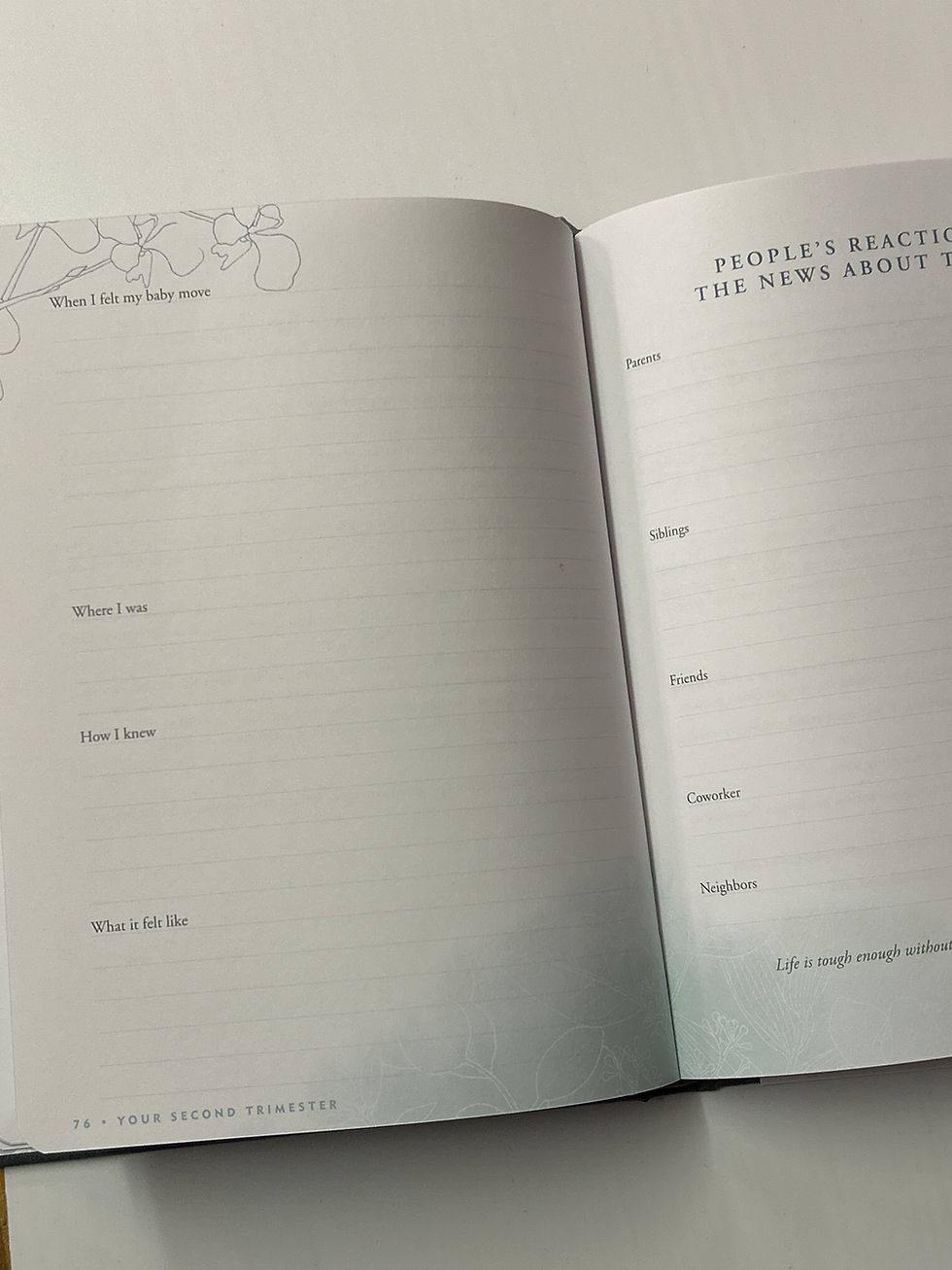 Thumbnail: Pregnancy Journal