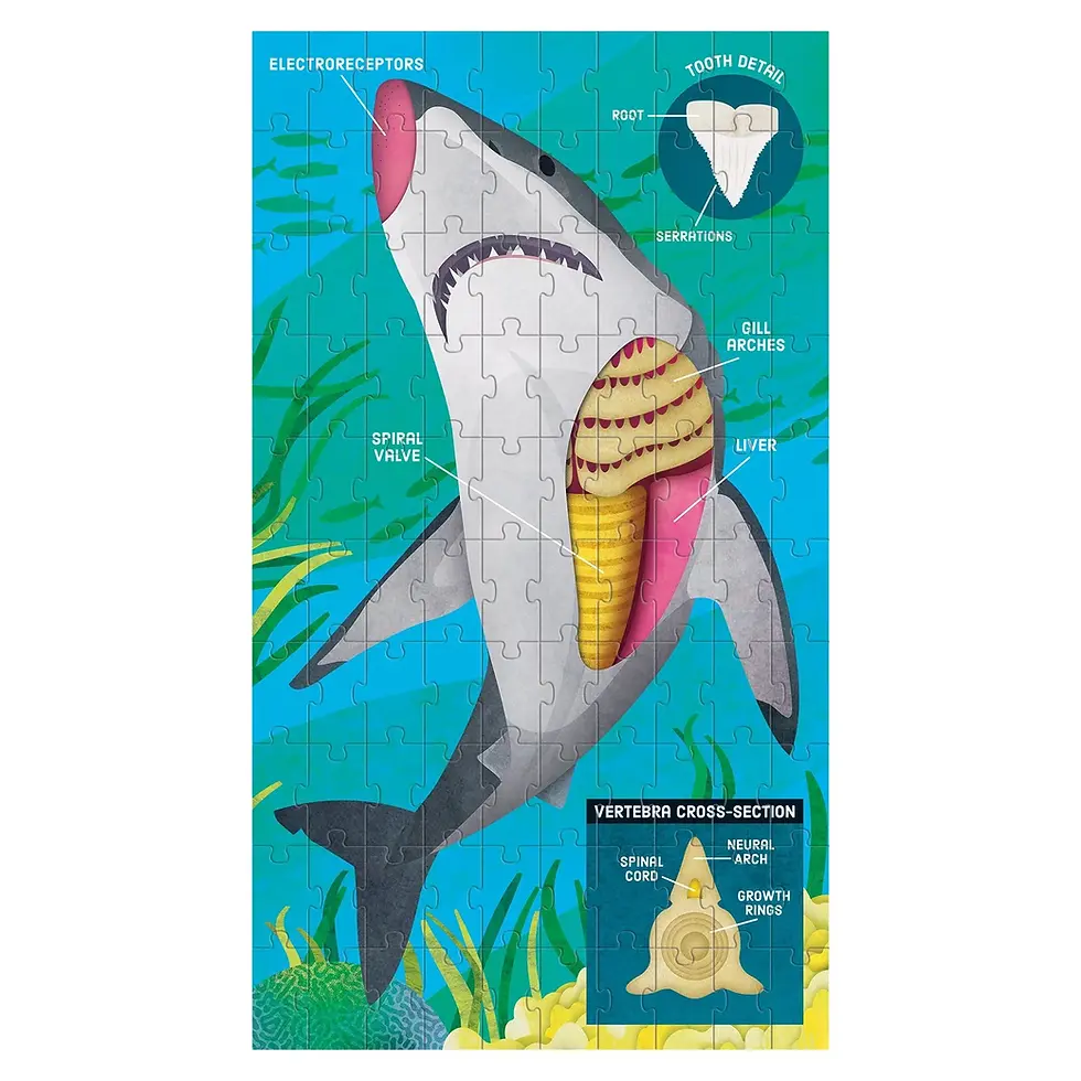 Thumbnail: Animal Anatomy Science Puzzle Set
