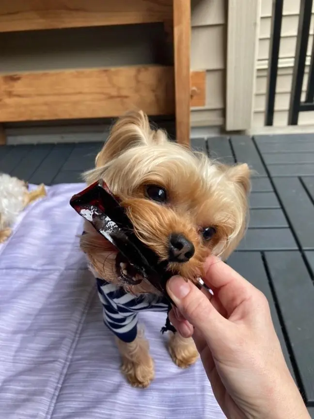 Thumbnail: Mighty Marrows Collagen Dental Chew - Bacon - small