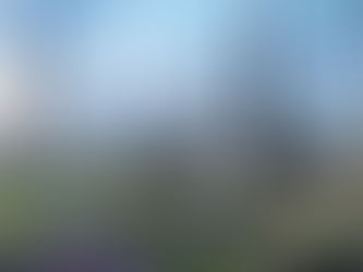 Celebverse Goes Live on Metaverse