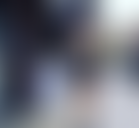 Silk Merchant in NYC