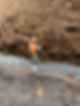 Excavating In the Trench