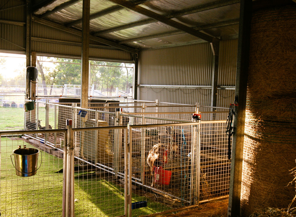 Ryali's Lane Goat Farm barn