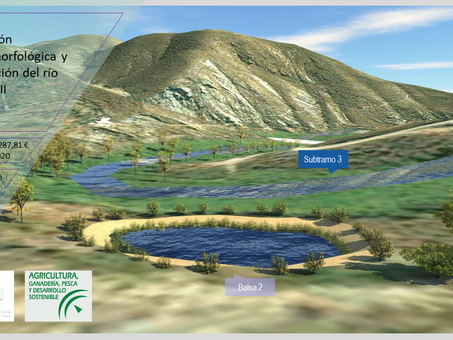 Restauración hidrogeomorfológica y naturalización del río Adra, fase II (Almería)