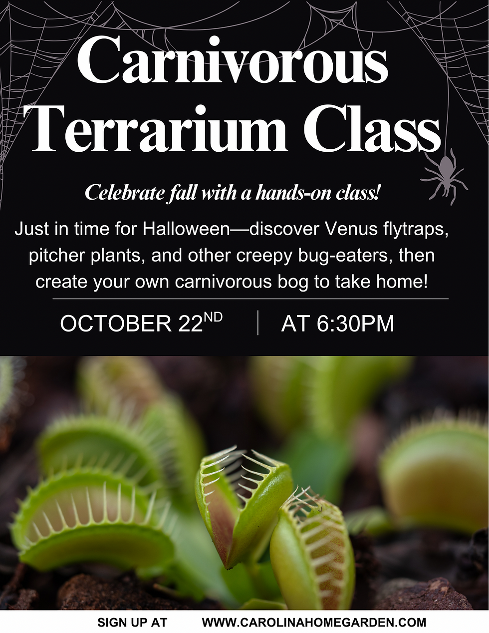 Carnivorous Terrarium Class