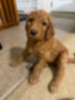 Thumbnail: Gallagher 