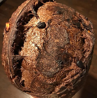 IMG-20200415-WA0059 (1).jpg