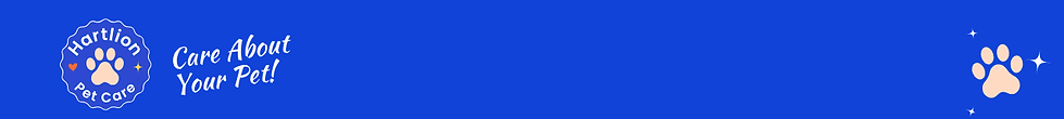Orange Colorful Pet Care Zoom Virtual Background.png