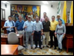 EIS Plantación MANUELITA Meta