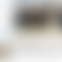 FlyORO Powering a Net-Zero Future with Shell