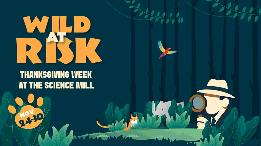 Science Mill Thanksgiving 2025 Talula mesa Glamping.gif