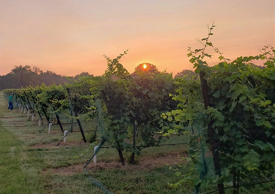 Screen Shot 2021-11-05 at 8.04_edited.jpg