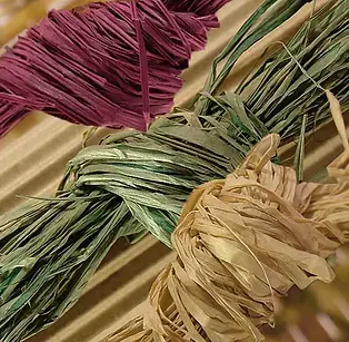raffia.webp