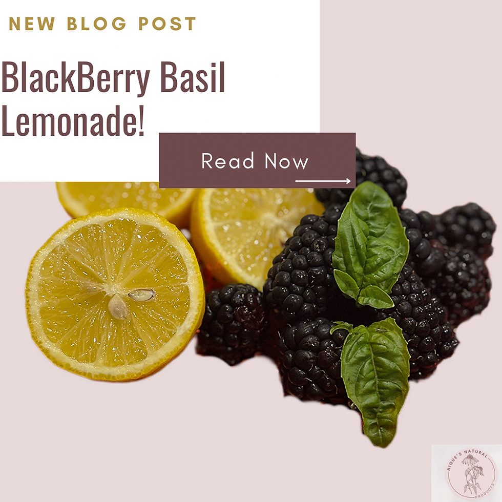 Refreshing Blackberry Basil Lemonade Recipe 🍋🌿🫐