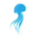 Jelly Fish with Transparent