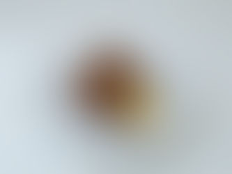 タンドリーチキン