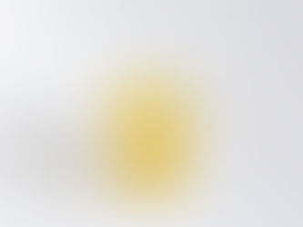 自家製ハニーレモネード