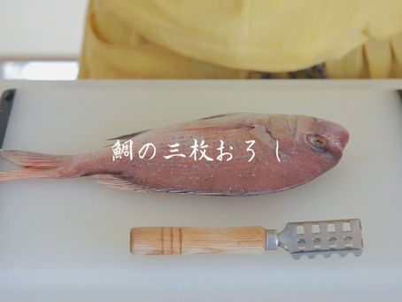 鯛の三枚おろし