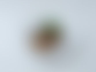 アジの生姜風味かば焼き