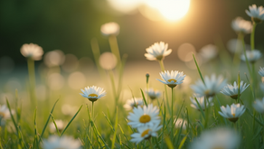 Embracing Support: The Hidden Strength of Women in Synchrony with Their Cycles