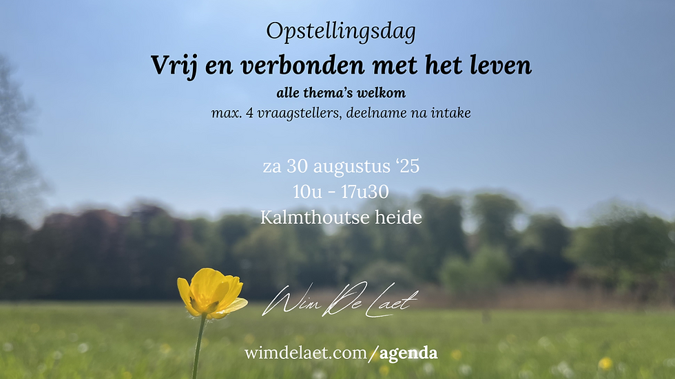 Opstellingsdag 'Vrij en verbonden met het leven' 30/8