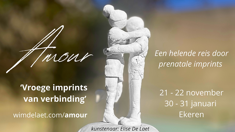 Amour 'Vroege imprints van verbinding'
