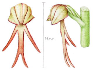 - We Are Nearly There -